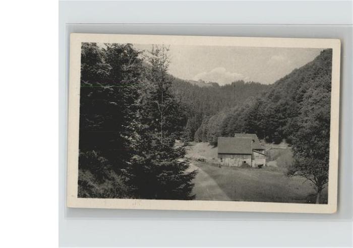 Frauenwald Thueringen Tränkbachmühle