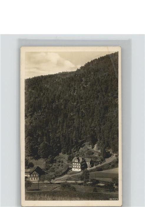 Reichenbach Sommerfrische Max Müller