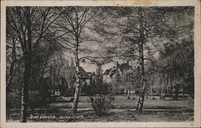 Bad Lausick Herrmannsbad mit Birkenhain