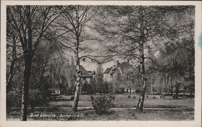 Bad Lausick Herrmannsbad mit Birkenhain