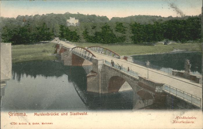 Grimma Muldenbrücke u.Stadtwald