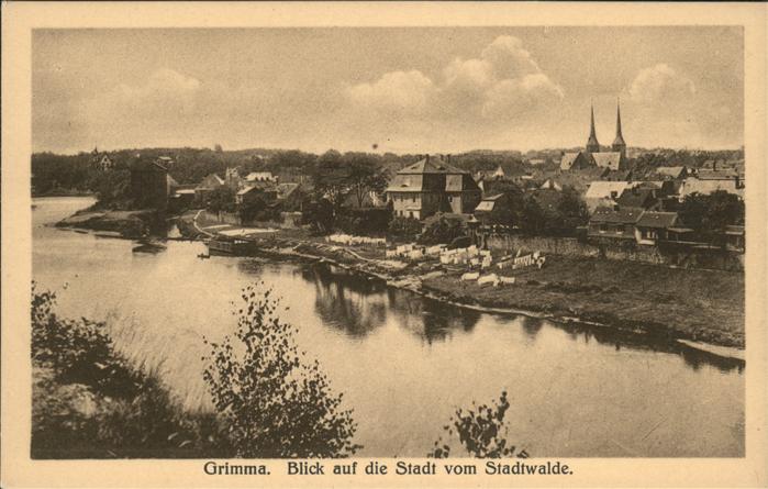 Grimma Blick vom Stadtwald