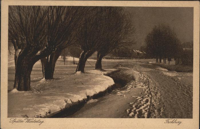 Frohburg Wintertag im Waldgebiet