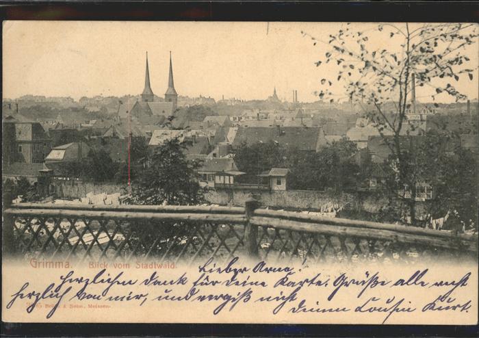 Grimma Blick vom Stadtwald