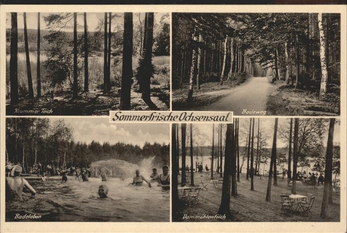 Wurzen Sachsen Dahlener Heide mit Kummerteich u.Dammüh