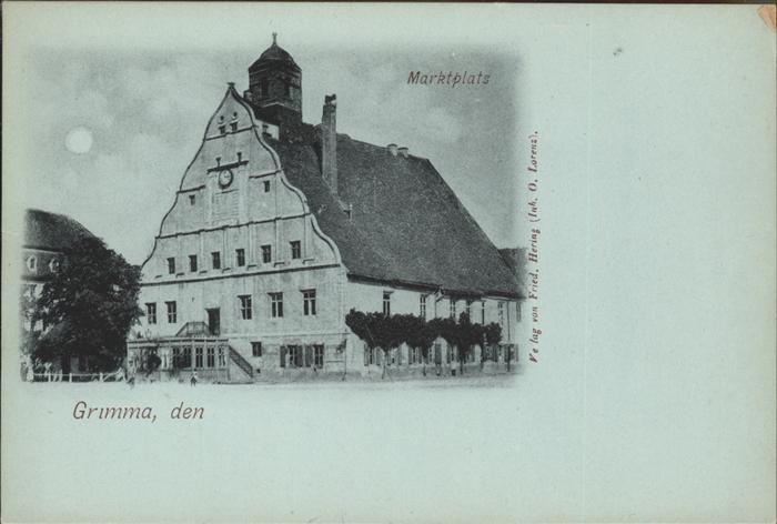 Grimma Rathaus mit Marktplatz