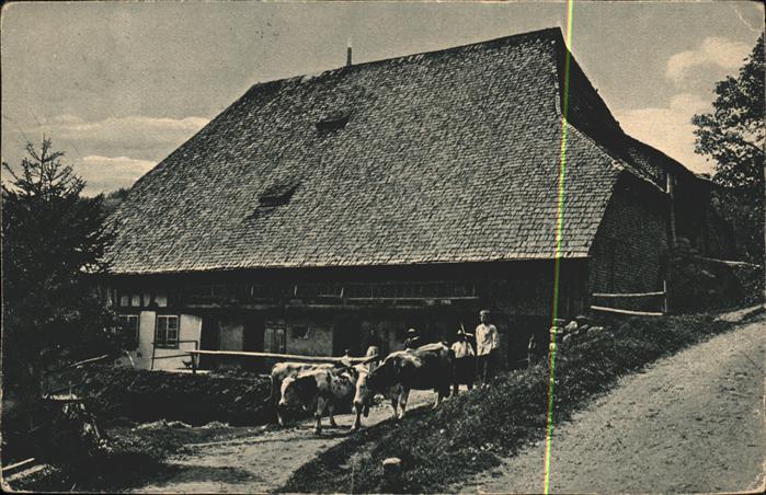 Furtwangen Schwarzwald Bauernhof