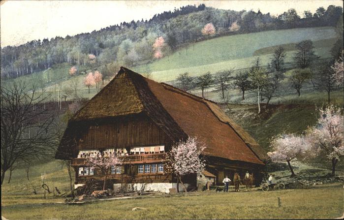 Kirnbachtal Schwarzwaldhaus