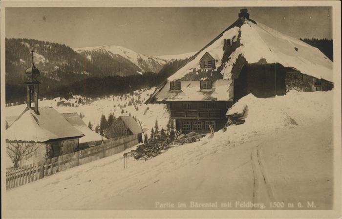 Baerental Feldberg Feldberg Winter