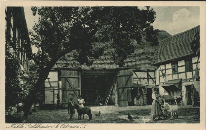 Maehrisch-Ostrau Ostrava Mühle Goldhausen