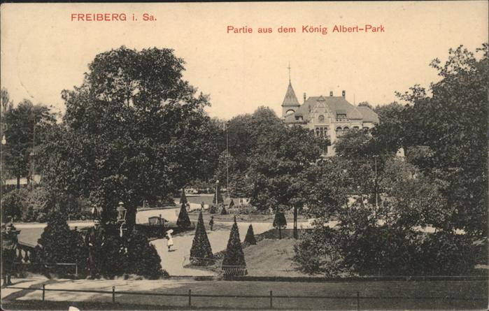 Freiberg Koenig Albert-Park
