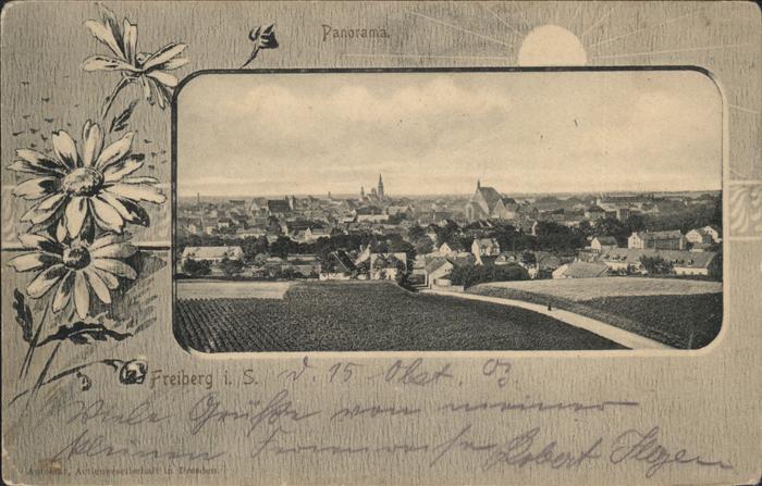 Freiberg Panorama