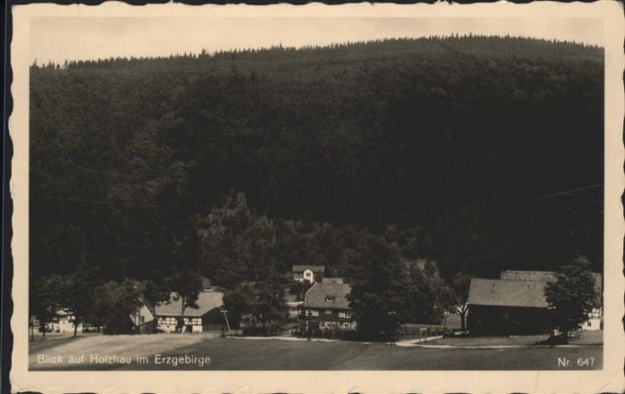 Holzhau Rechenberg-Bienenmuehle
