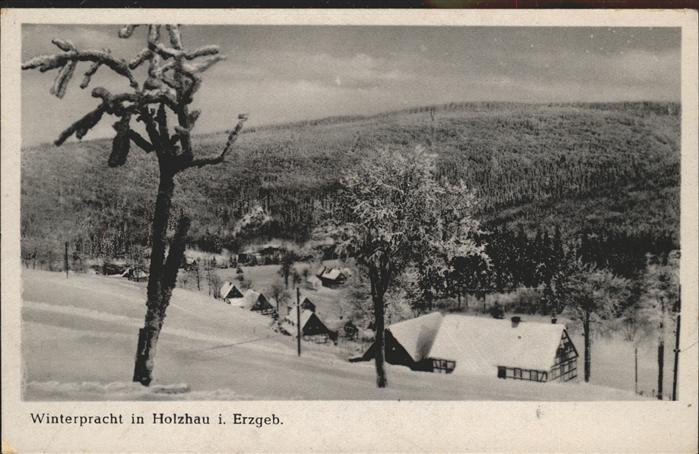 Holzhau Rechenberg-Bienenmuehle Winterpracht