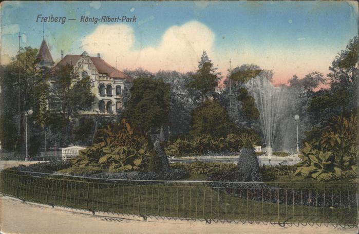 Freiberg Koenig Albert-Park