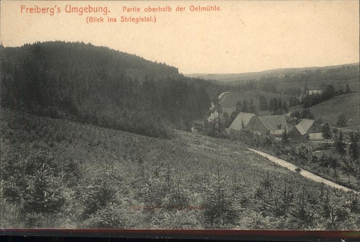 Freiberg oberhalb der Oelmühle