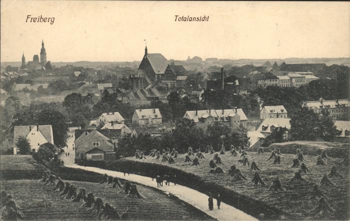 Freiberg Totalansicht