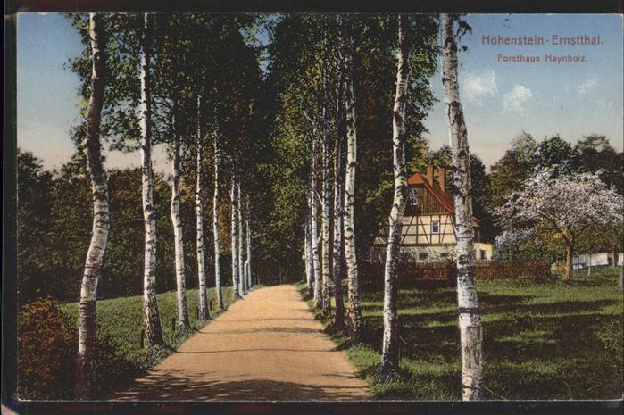 Hohenstein-Ernstthal Forsthaus Haynholz