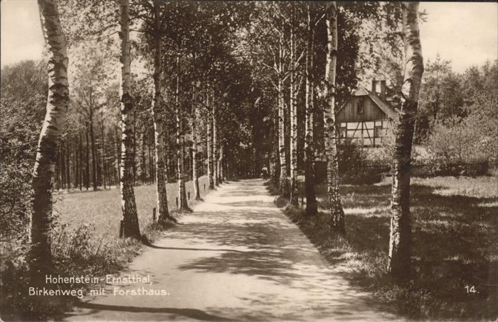 Hohenstein-Ernstthal Forsthaus Haynholz