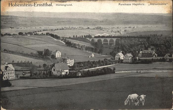Hohenstein-Ernstthal Hüttengrund Forsthaus Haynholz Hüttenmü