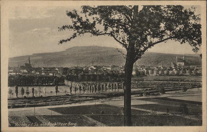 Rochlitz Sachsen Panorama mit Rochlitzer Berg
