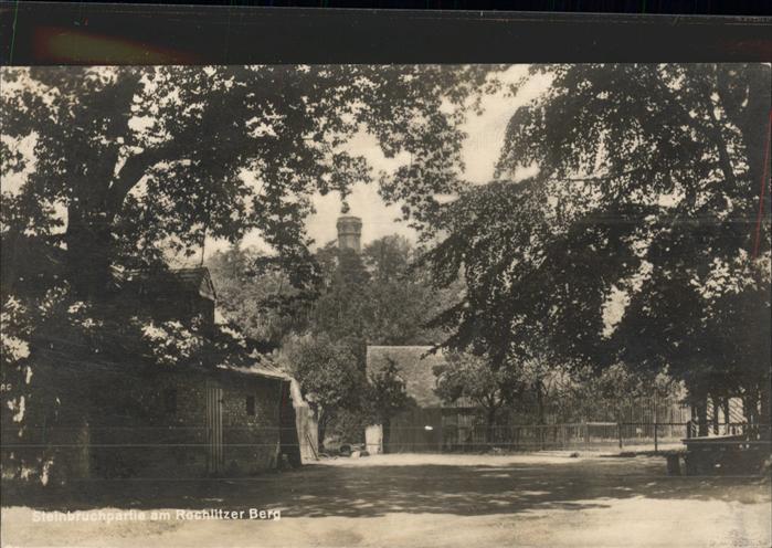 Rochlitz Sachsen Turm und Steinbrüche des Rochlitzer Ber