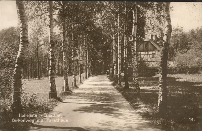 Hohenstein-Ernstthal Birkenweg mit Forsthaus