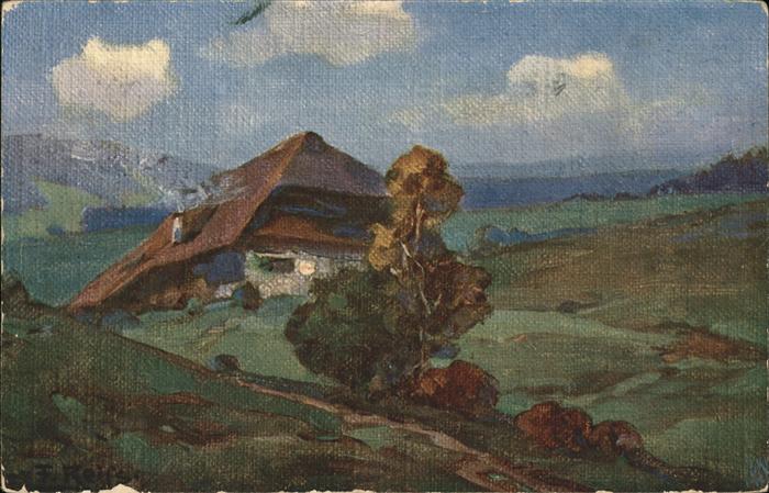 Reiss Fritz Nr. 9 Sommer im Schwarzwald Schwarzwald