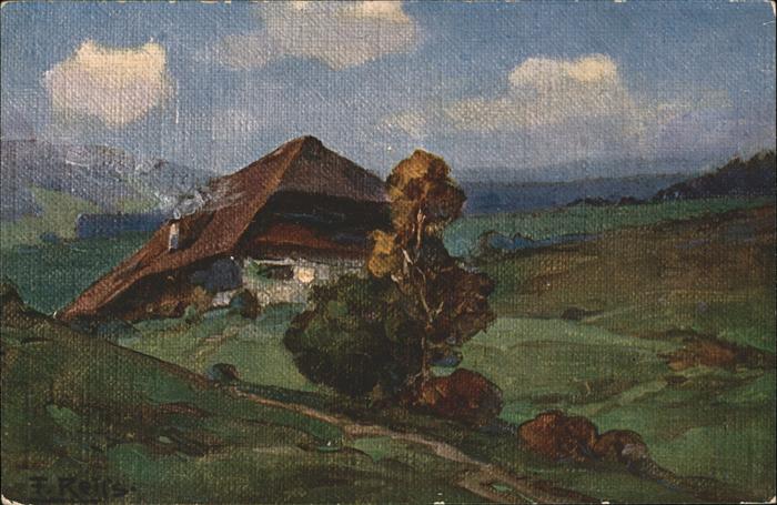 Reiss Fritz Nr. 9 Sommer im Schwarzwald Schwarzwald