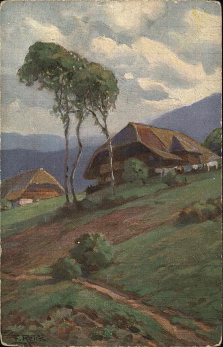 Reiss Fritz Nr. 11 Sommer im Schwarzwald Schwarzwal