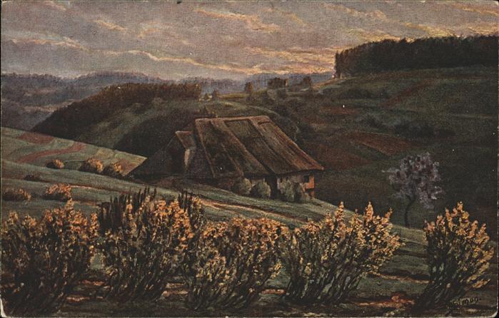 Simon A. Nr. 4 Frühling im Schwarzwald Sonnenauf