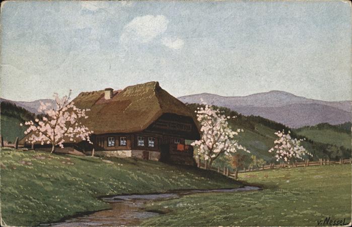 Nessel V. Nr. 10 Schwarzwaldhaus