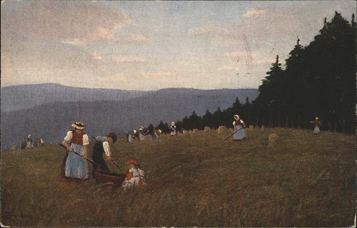 Harbers E. Nr. 24 Landwirtschaft Schwarzwald