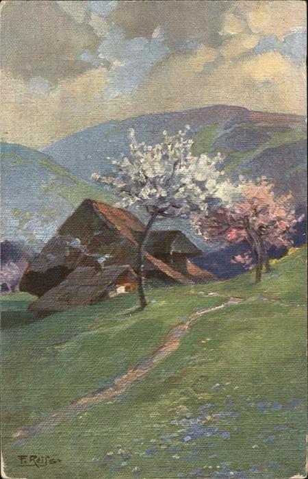 Reiss Fritz Nr. 7 Frühling im Schwarzwald Elchlepp-