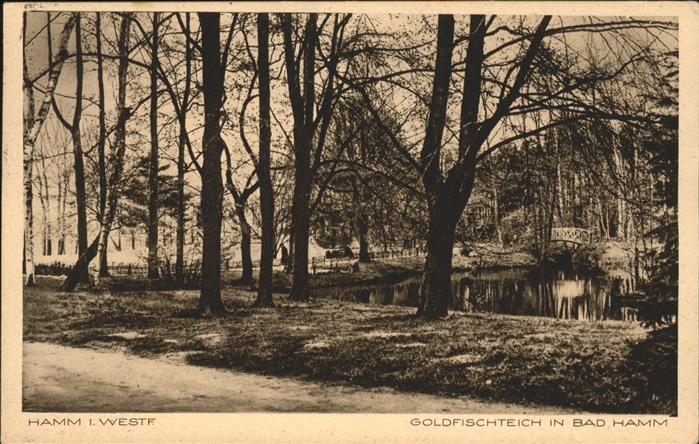 Hamm Westfalen Goldfischteich