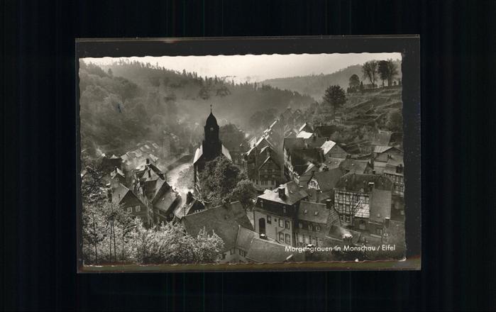 Monschau Montjoie NRW Eifel Panorama im Morgengrauen