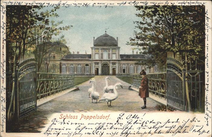 Poppelsdorf Schloss Schwäne