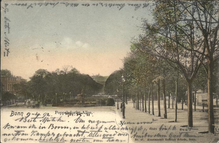 Bonn Rhein Poppelsdorfer Allee