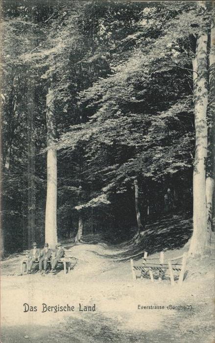 Burgholz Staatsforst Bergisches Land Everstrasse