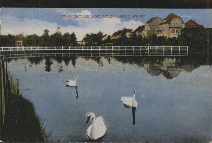 Bad Salzuflen Am See Schwäne