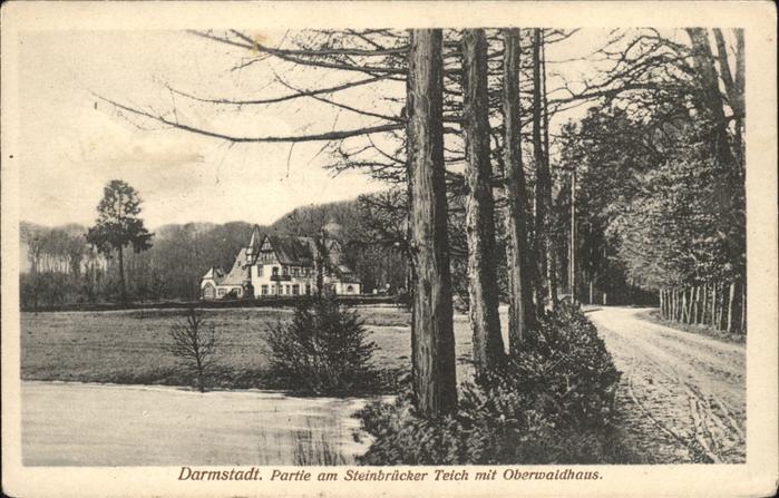 Darmstadt Steinbrücker Teich Oberwaldhaus