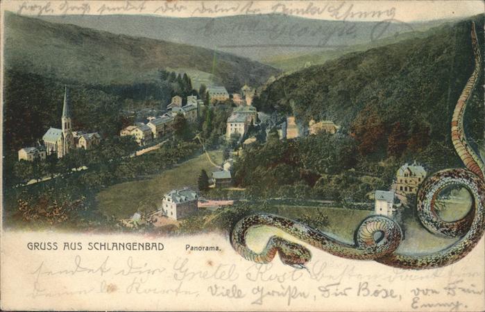 Schlangenbad Taunus Panorama