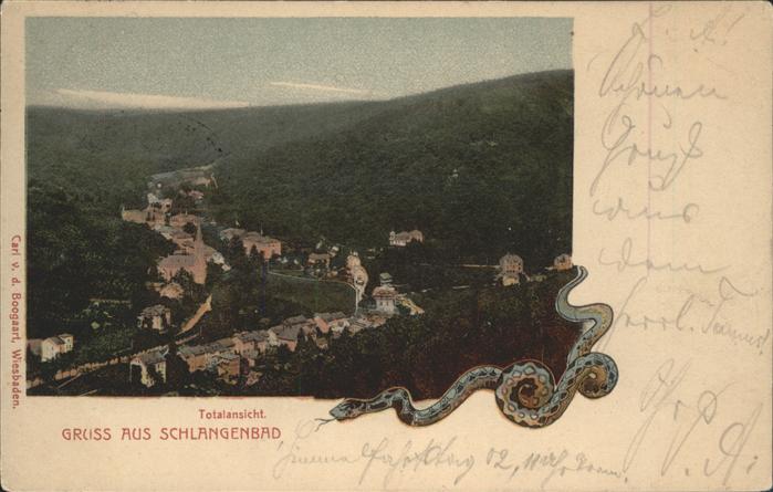 Schlangenbad Taunus Totalansicht