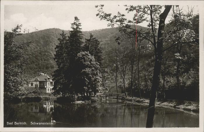 Bad Bertrich Schwanenteich