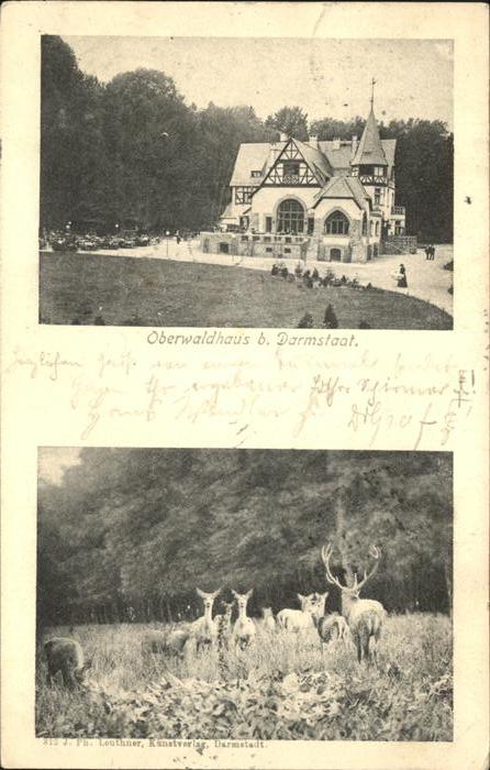 Darmstadt Oberwaldhaus mit Hirschen u.Rehe