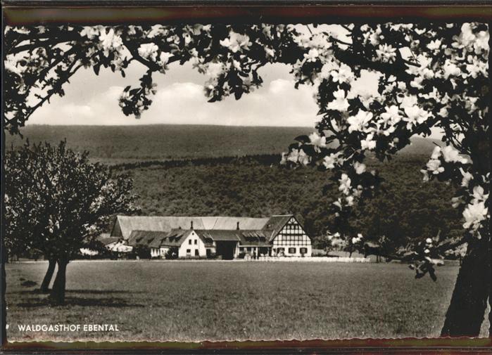 Ruedesheim Rhein Waldgasthof Ebental (Landgut)