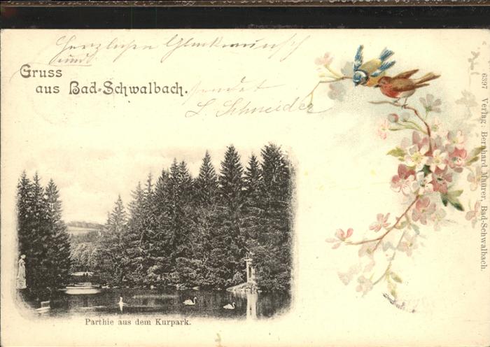 Bad Schwalbach Partie im Kurpark