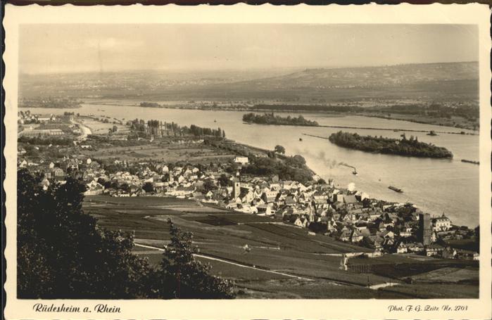 Ruedesheim Rhein Luftaufnahme