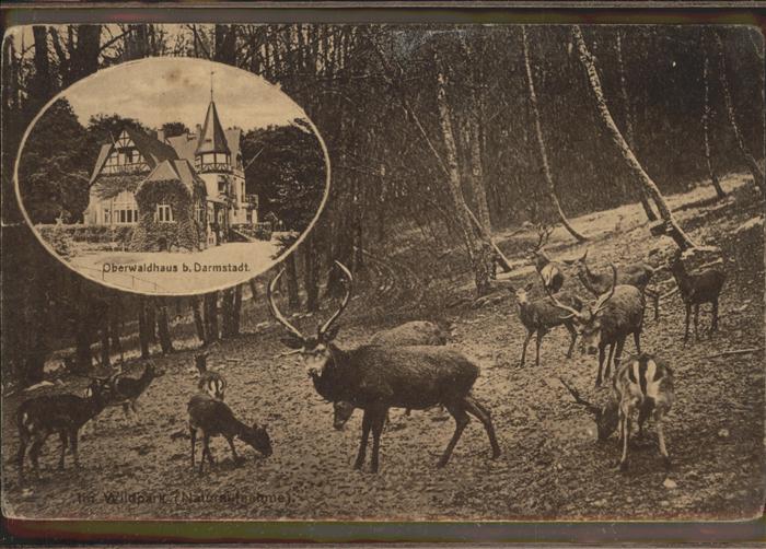 Darmstadt Oberwaldhaus mit Rehwild