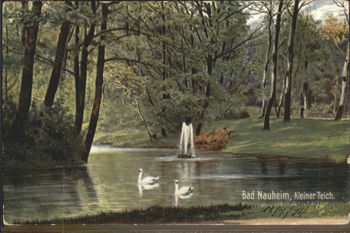 Bad Nauheim Kleiner Teich Schwäne